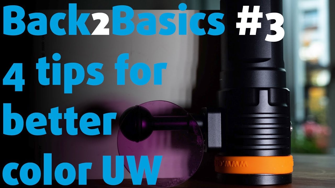 4 TIPS FOR BETTER COLOR UNDERWATER⎜ Back2Basics #3